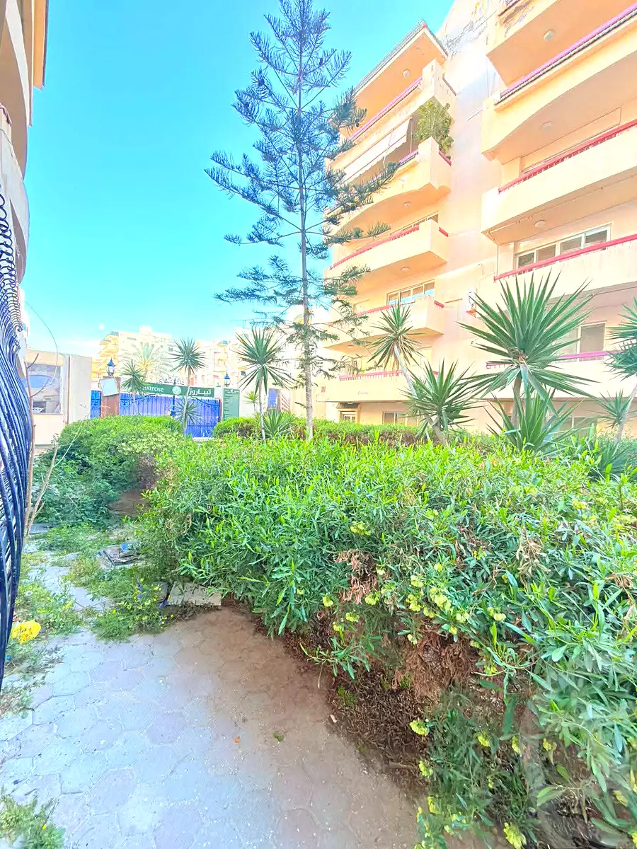 https://aqarmap.com.eg/en/listing/6890025-for-sale-alexandria-al-agamy-shataa-el-nakheel