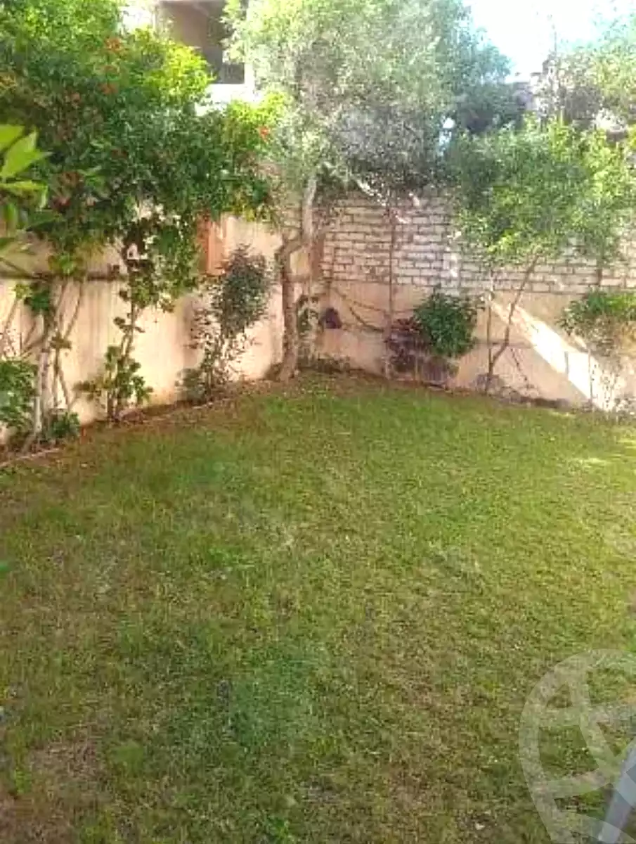 https://aqarmap.com.eg/en/listing/6890125-for-sale-alexandria-al-agamy-lbytsh-el-batal-ahmed-abd-el-aziz-belbis-st