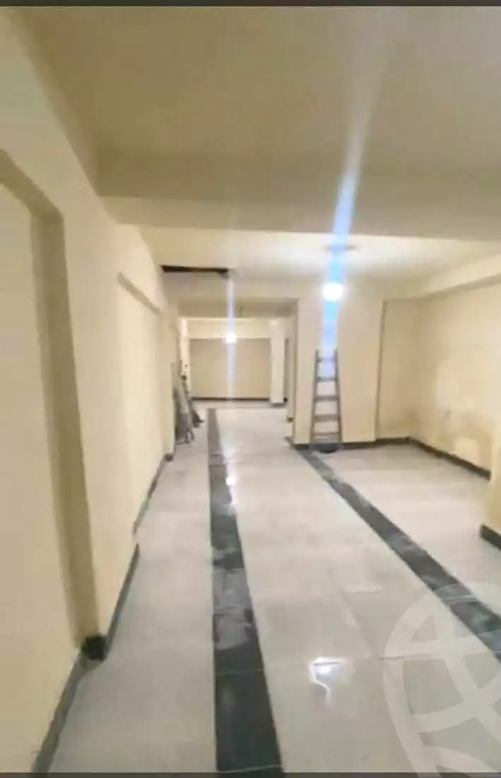 https://aqarmap.com.eg/en/listing/6890323-for-rent-alexandria-miami-mahmoud-el-isawy-st