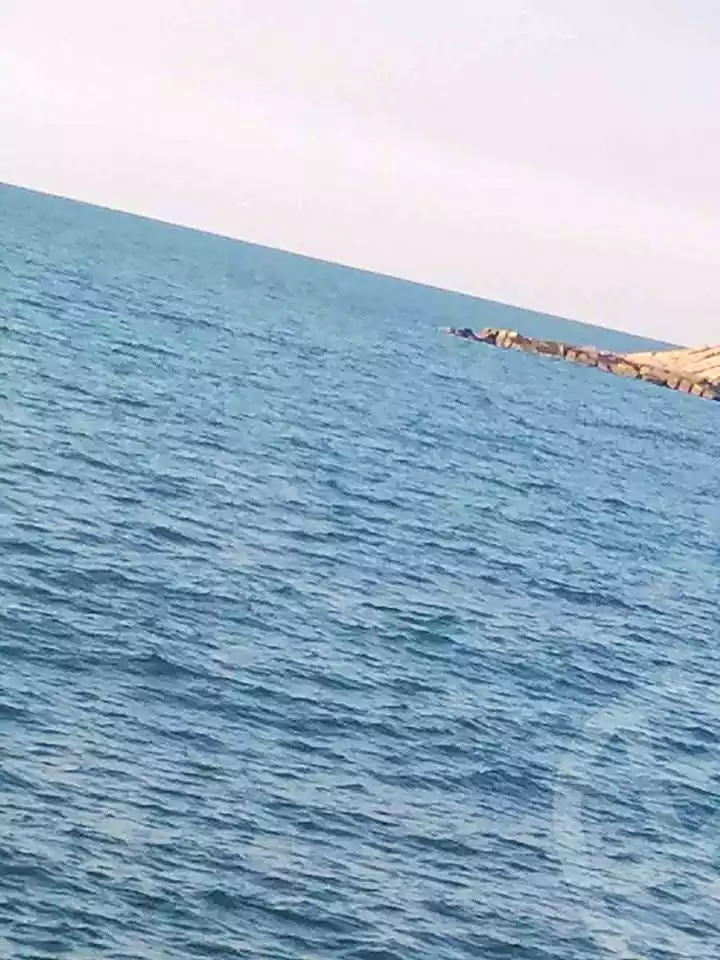 https://aqarmap.com.eg/en/listing/6894927-for-sale-alexandria-el-asafra