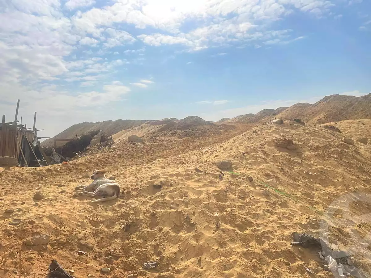 https://aqarmap.com.eg/en/listing/6898428-for-sale-cairo-al-oubour-el-hay-el-taseaa