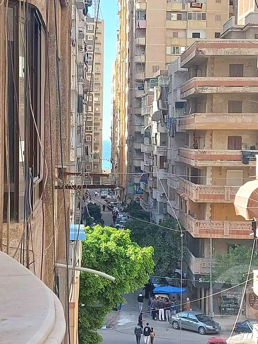 https://aqarmap.com.eg/en/listing/6900741-for-sale-alexandria-sydy-bshr-sydy-bshr-bhry-amr-el-nogomy-st