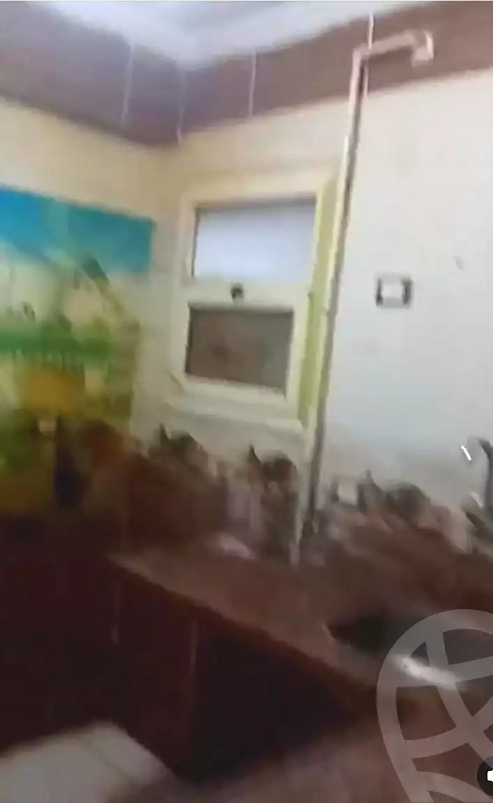 https://aqarmap.com.eg/en/listing/6905117-for-rent-alexandria-bw-qyr-toson-st