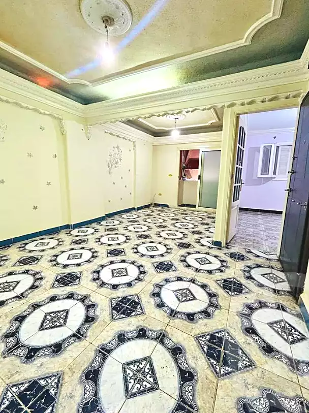 https://aqarmap.com.eg/en/listing/6914703-for-sale-alexandria-sydy-bshr-sydy-bshr-bhry-gamal-abd-el-nasir-st