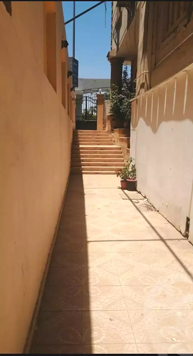 https://aqarmap.com.eg/ar/listing/6914815-for-rent-cairo-new-cairo-el-ahyaa-first-neighborhood-street-1