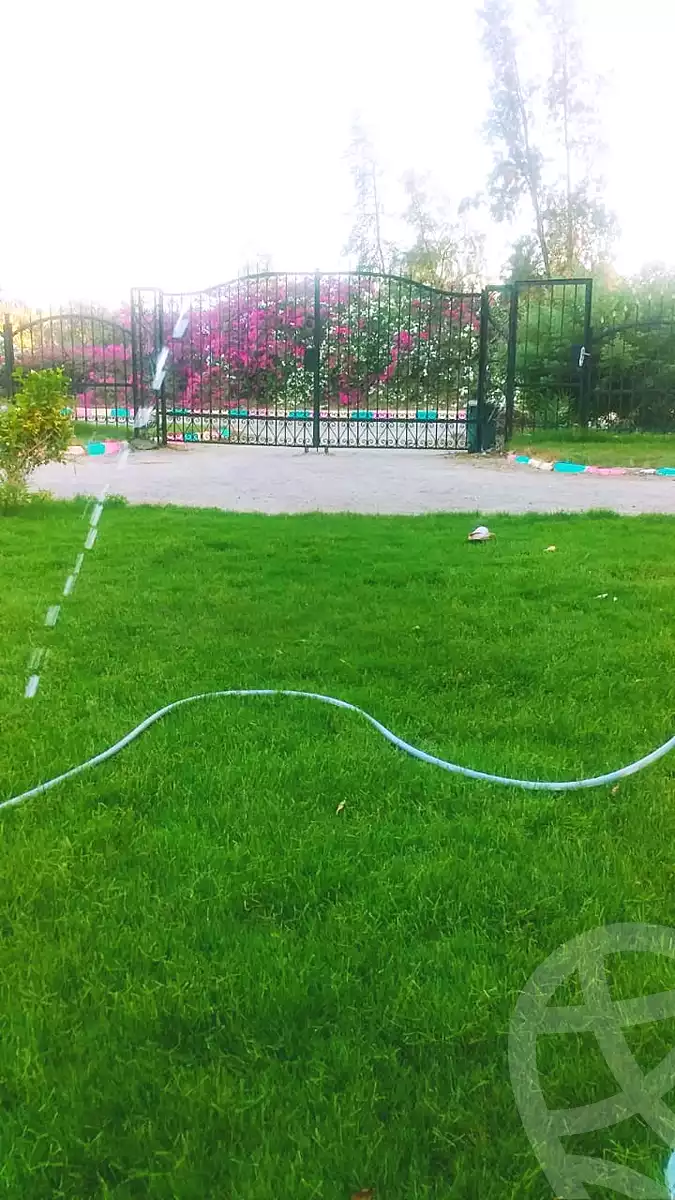 فيلا بـ٣ غرف نوم في مزارع ستيلا دي ماري، صورة ١٢ من ١٥