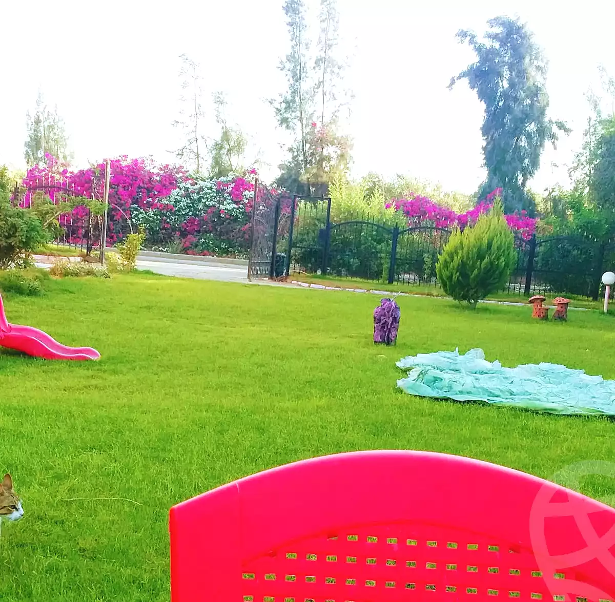 فيلا بـ٣ غرف نوم في مزارع ستيلا دي ماري، صورة ٩ من ١٥