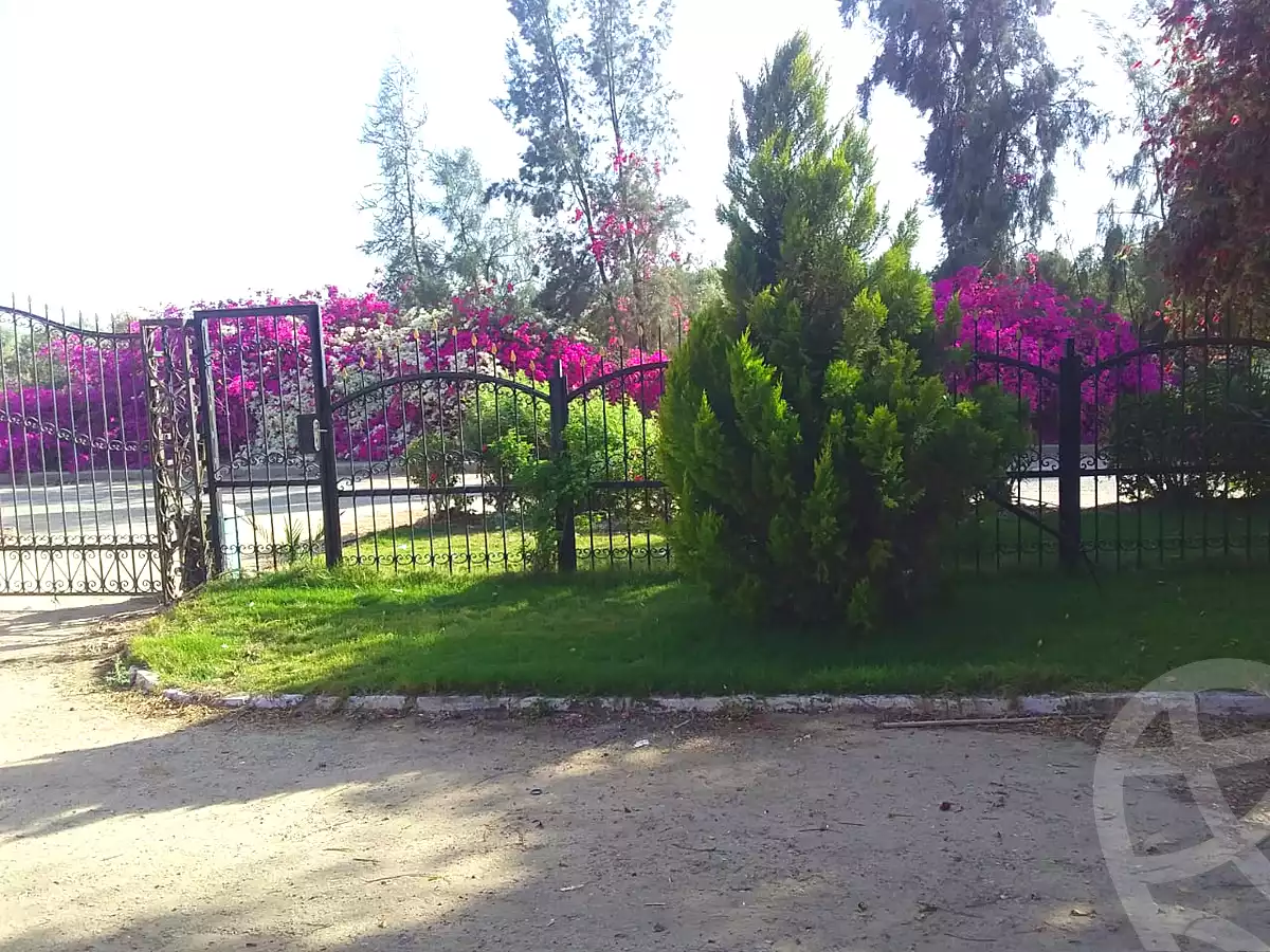 فيلا بـ٣ غرف نوم في مزارع ستيلا دي ماري، صورة ١٣ من ١٥