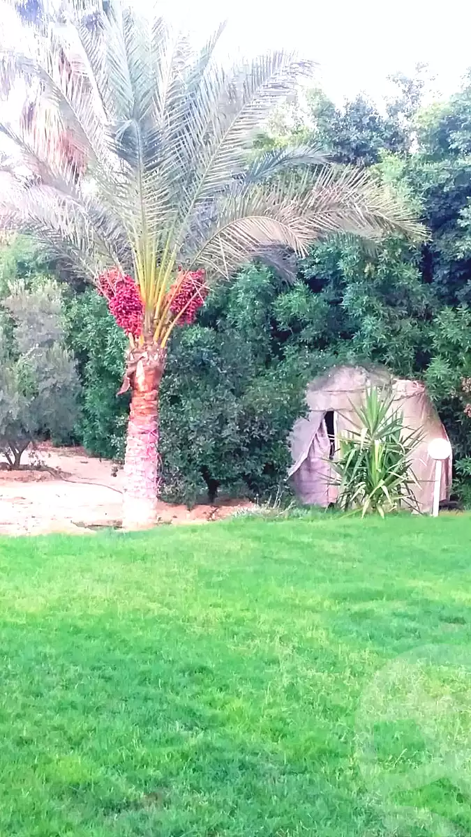 فيلا بـ٣ غرف نوم في مزارع ستيلا دي ماري، صورة ٧ من ١٥
