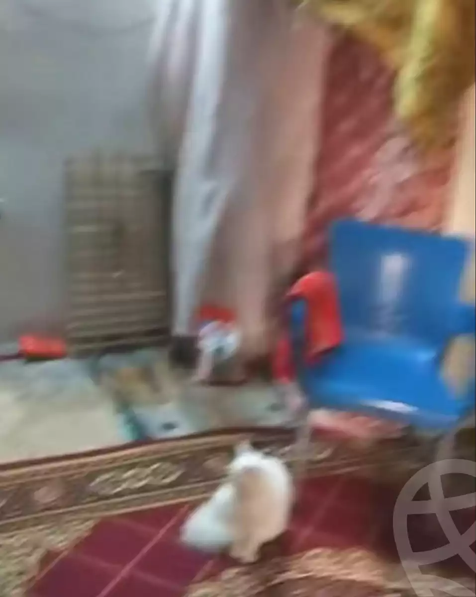 https://aqarmap.com.eg/ar/listing/6919100-for-sale-cairo-ain-shams-ain-shams-el-sharkia-el-zahraa-st