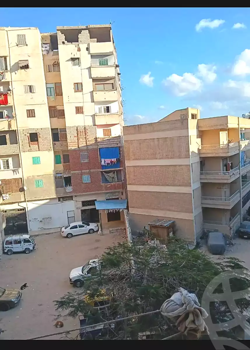 https://aqarmap.com.eg/ar/listing/6919139-for-sale-alexandria-al-agamy-el-hanouvel-el-kholafaa-el-rashdeen-st