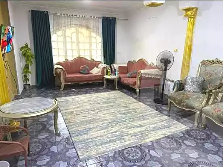 https://aqarmap.com.eg/en/listing/6914260-for-sale-cairo-faisal-hassan-mohamed-st