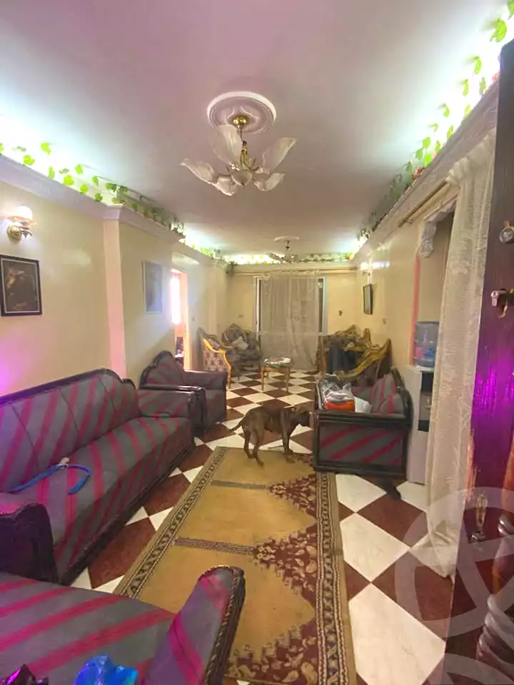 https://aqarmap.com.eg/ar/listing/6923372-for-sale-alexandria-miami-mahmoud-el-isawy-st