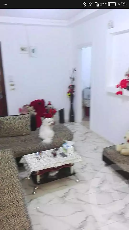 https://aqarmap.com.eg/en/listing/6924098-for-sale-alexandria-al-agamy-lbytsh-el-hanafeya-st
