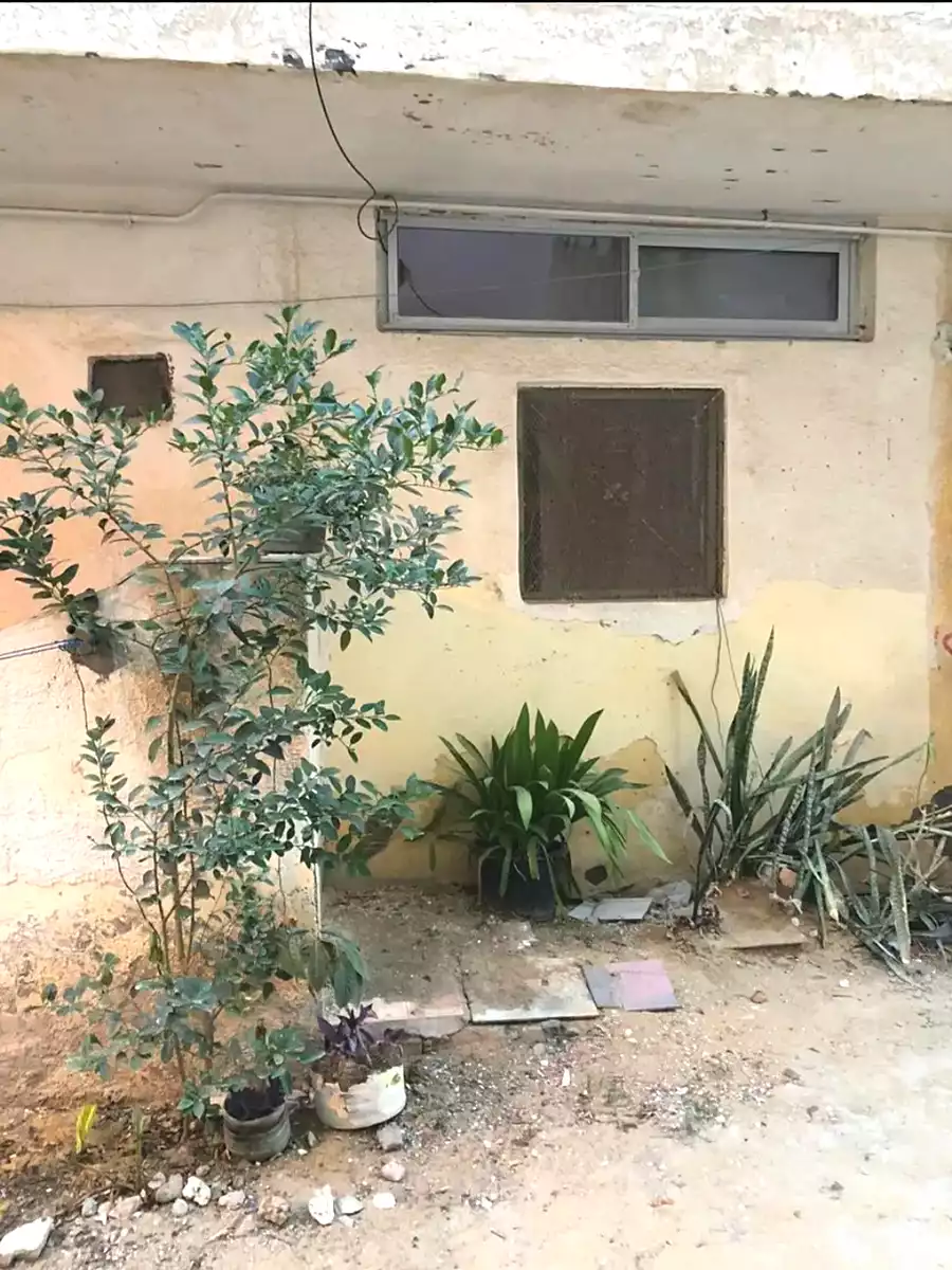 https://aqarmap.com.eg/ar/listing/6925330-for-sale-alexandria-al-agamy-lbytsh-shahr-al-assal-st