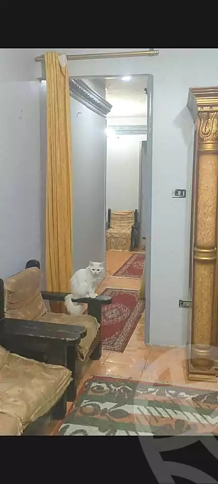 https://aqarmap.com.eg/ar/listing/6929381-for-sale-alexandria-al-agamy-el-hanouvel