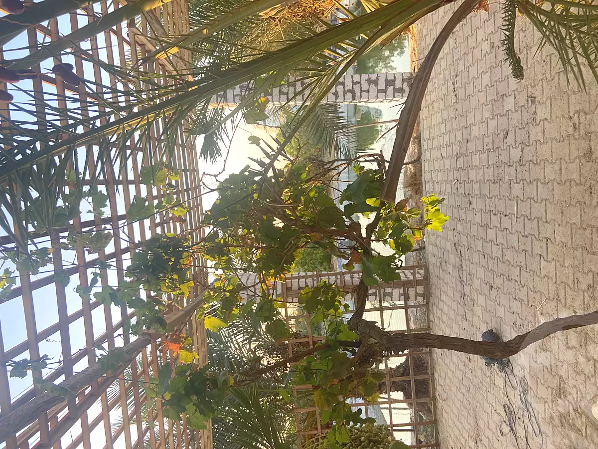 https://aqarmap.com.eg/ar/listing/6934508-for-sale-suez-mohamed-karem-village