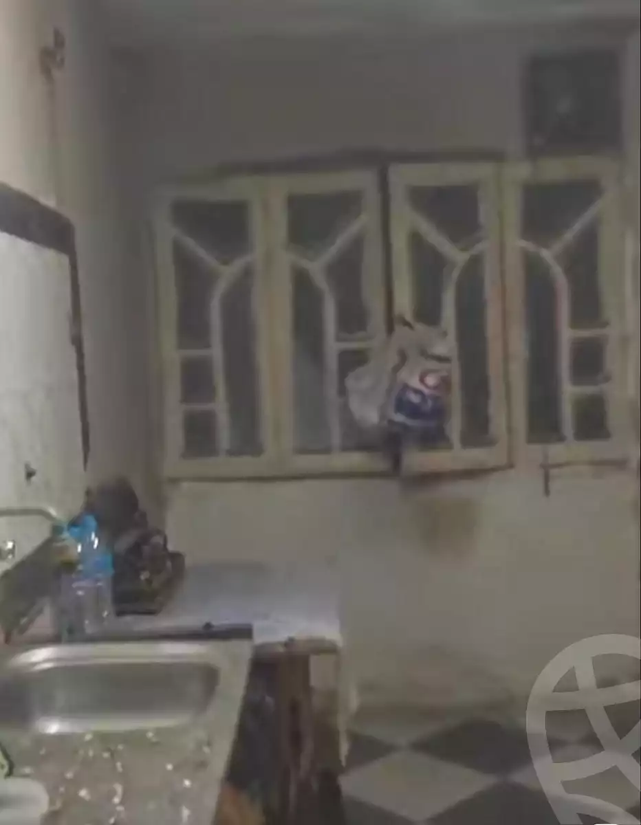 https://aqarmap.com.eg/en/listing/6936279-for-sale-cairo-ain-shams-ain-shams-el-sharkia-afifi-effat-st
