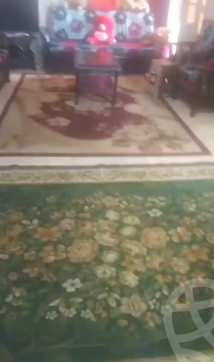 https://aqarmap.com.eg/en/listing/6936177-for-sale-alexandria-el-mandara-nabawy-al-mohandes-st