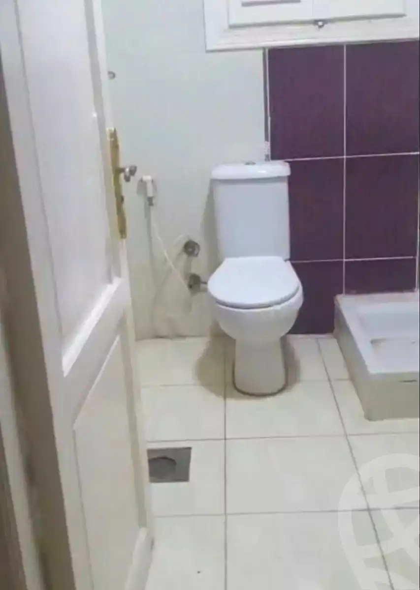 https://aqarmap.com.eg/ar/listing/6941089-for-rent-alexandria-ganaklis