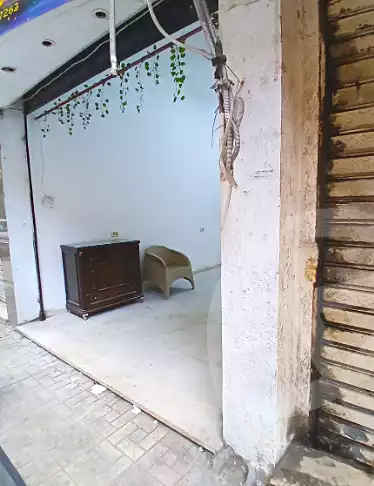 https://aqarmap.com.eg/en/listing/6942961-for-rent-alexandria-el-asafra
