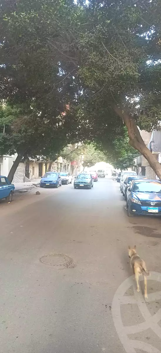 https://aqarmap.com.eg/en/listing/6943648-for-rent-cairo-ain-shams-el-naam-al-matrya-musiem-st