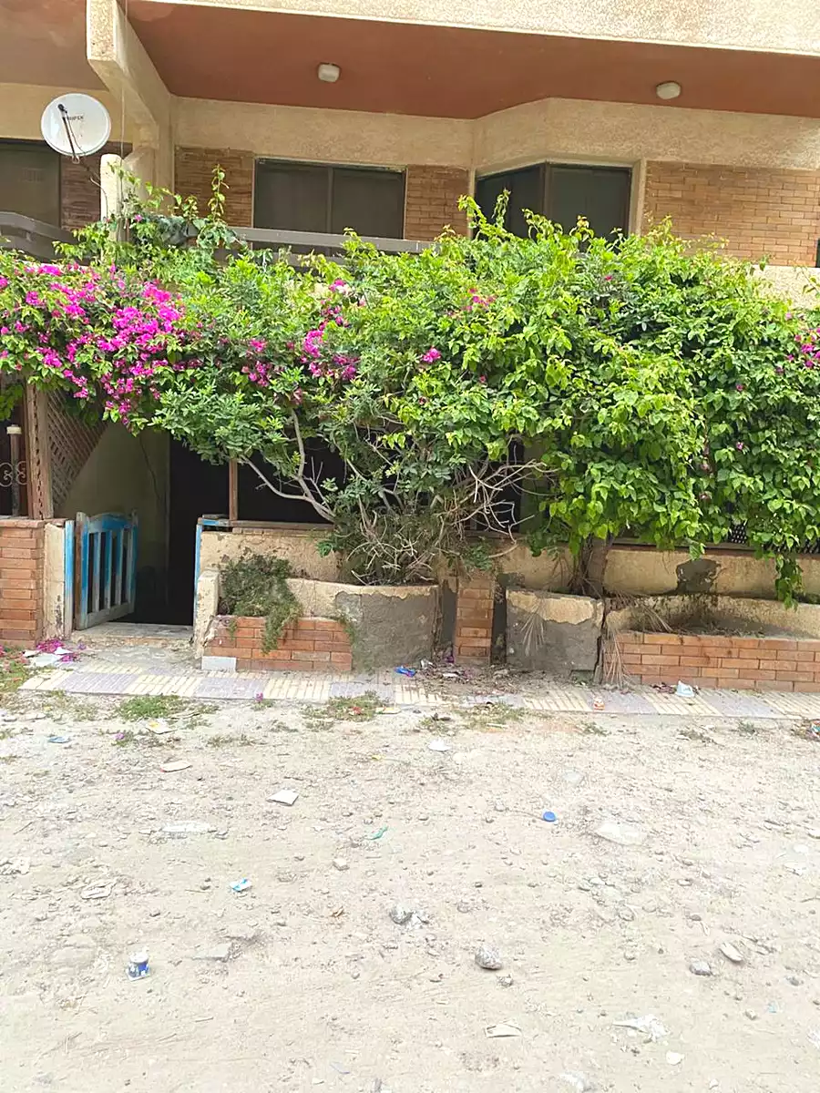 https://aqarmap.com.eg/ar/listing/6943940-for-rent-alexandria-al-agamy-shataa-el-nakheel