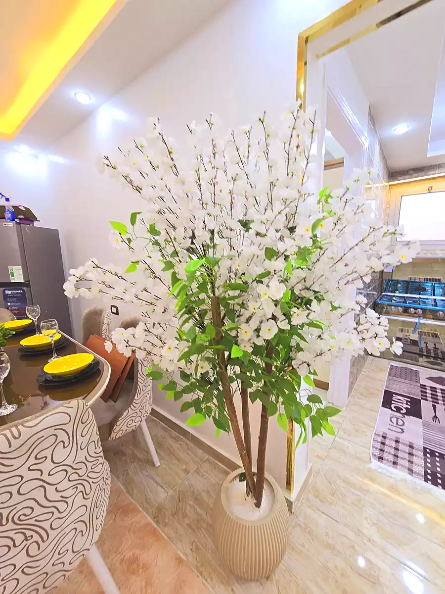 https://aqarmap.com.eg/en/listing/6946223-for-sale-alexandria-al-agamy-shataa-el-nakheel