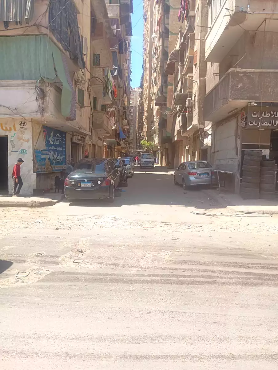 https://aqarmap.com.eg/ar/listing/6946256-for-sale-alexandria-el-asafra-l-sfr-bhry