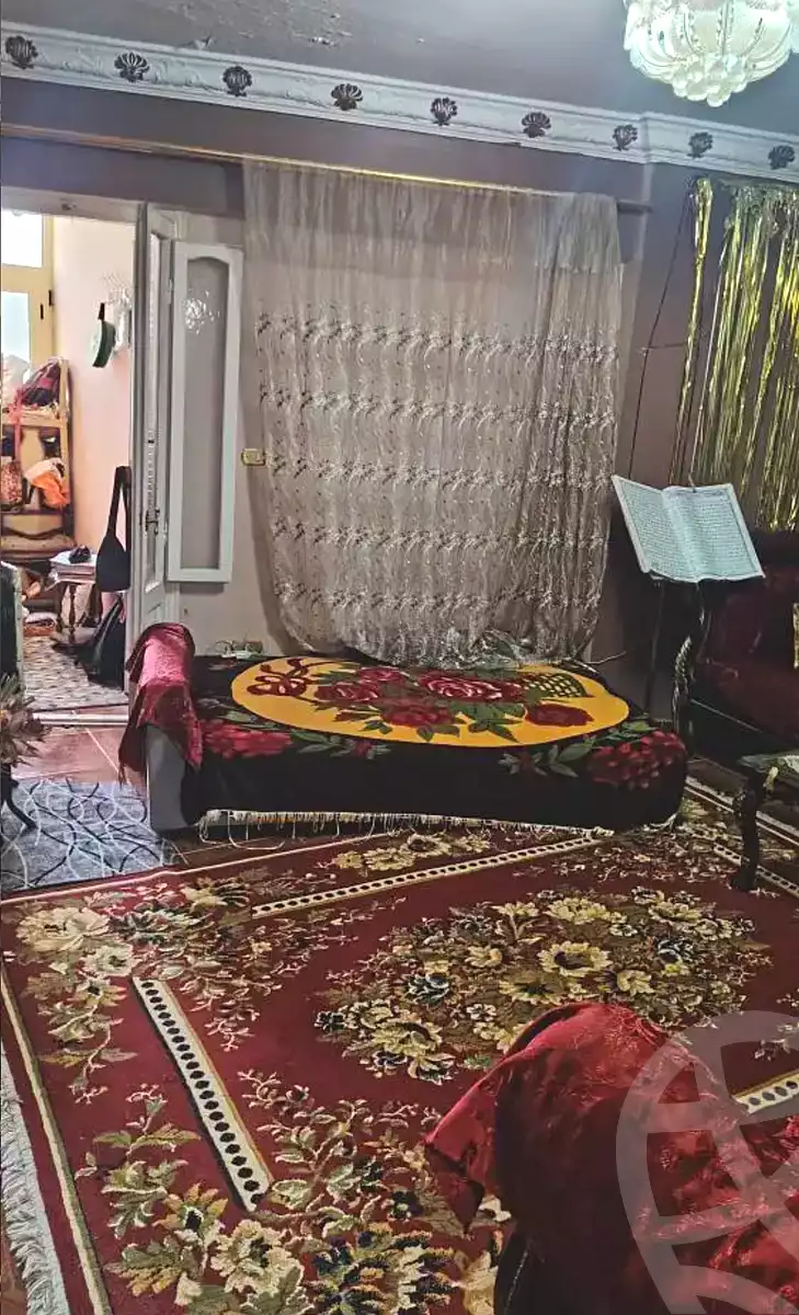 https://aqarmap.com.eg/en/listing/6950316-for-sale-alexandria-el-mandara-al-omanaa-st
