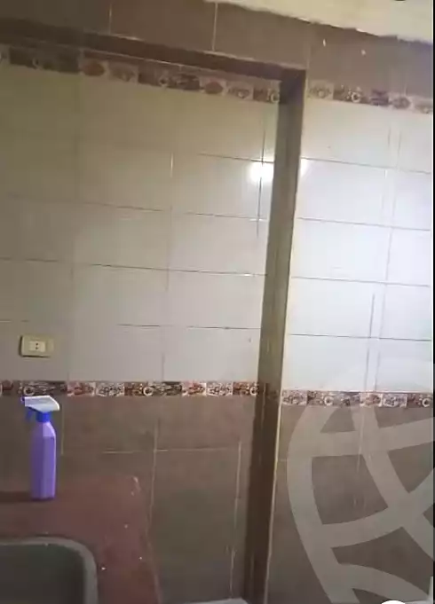 https://aqarmap.com.eg/en/listing/6950933-for-rent-cairo-faisal-el-maryotyah