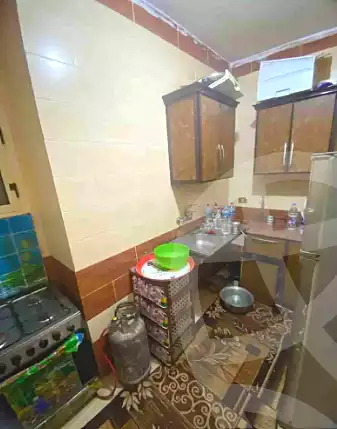 https://aqarmap.com.eg/ar/listing/6951627-for-rent-sharqia-zagazig-zagazig-city-ghasham-rd