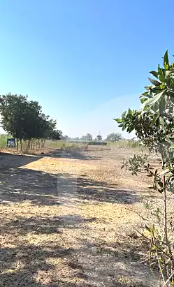 https://aqarmap.com.eg/ar/listing/6954040-for-sale-el-fayoum-yousef-el-sedeeq-karoun