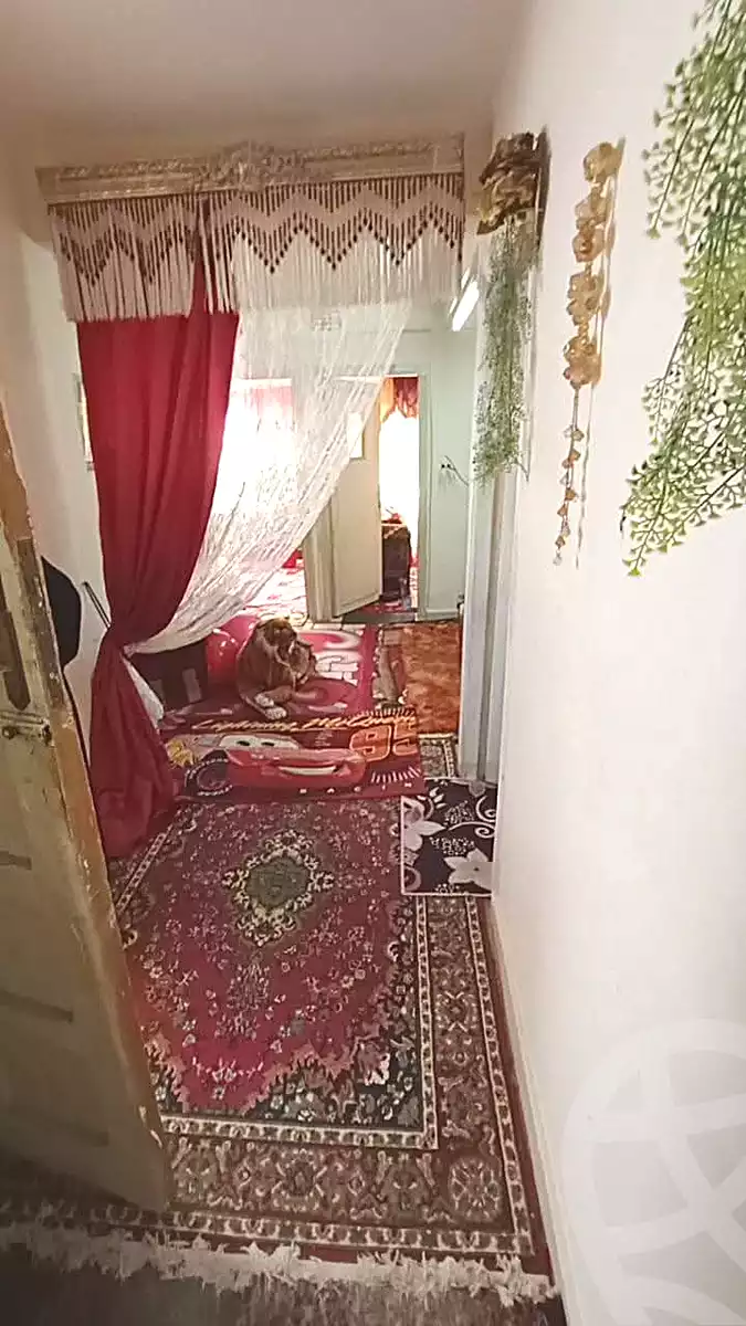https://aqarmap.com.eg/ar/listing/6956175-for-sale-alexandria-el-dekhela