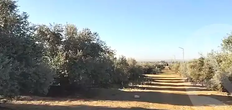 https://aqarmap.com.eg/en/listing/6963287-for-sale-beheira-wadi-el-natrun