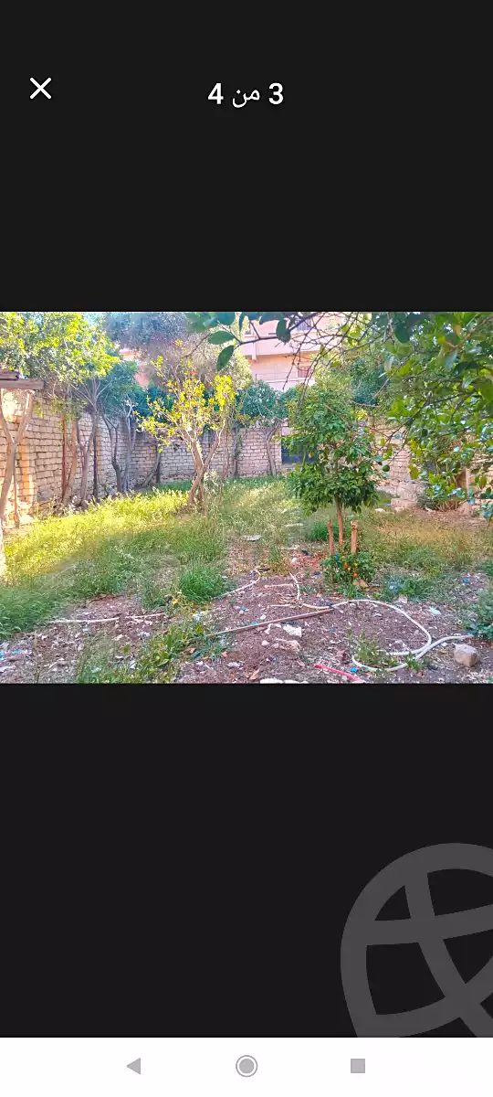 https://aqarmap.com.eg/en/listing/6963290-for-sale-alexandria-al-agamy-bw-ywsf