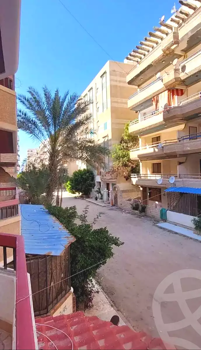 https://aqarmap.com.eg/en/listing/6963982-for-sale-alexandria-al-agamy-shataa-el-nakheel