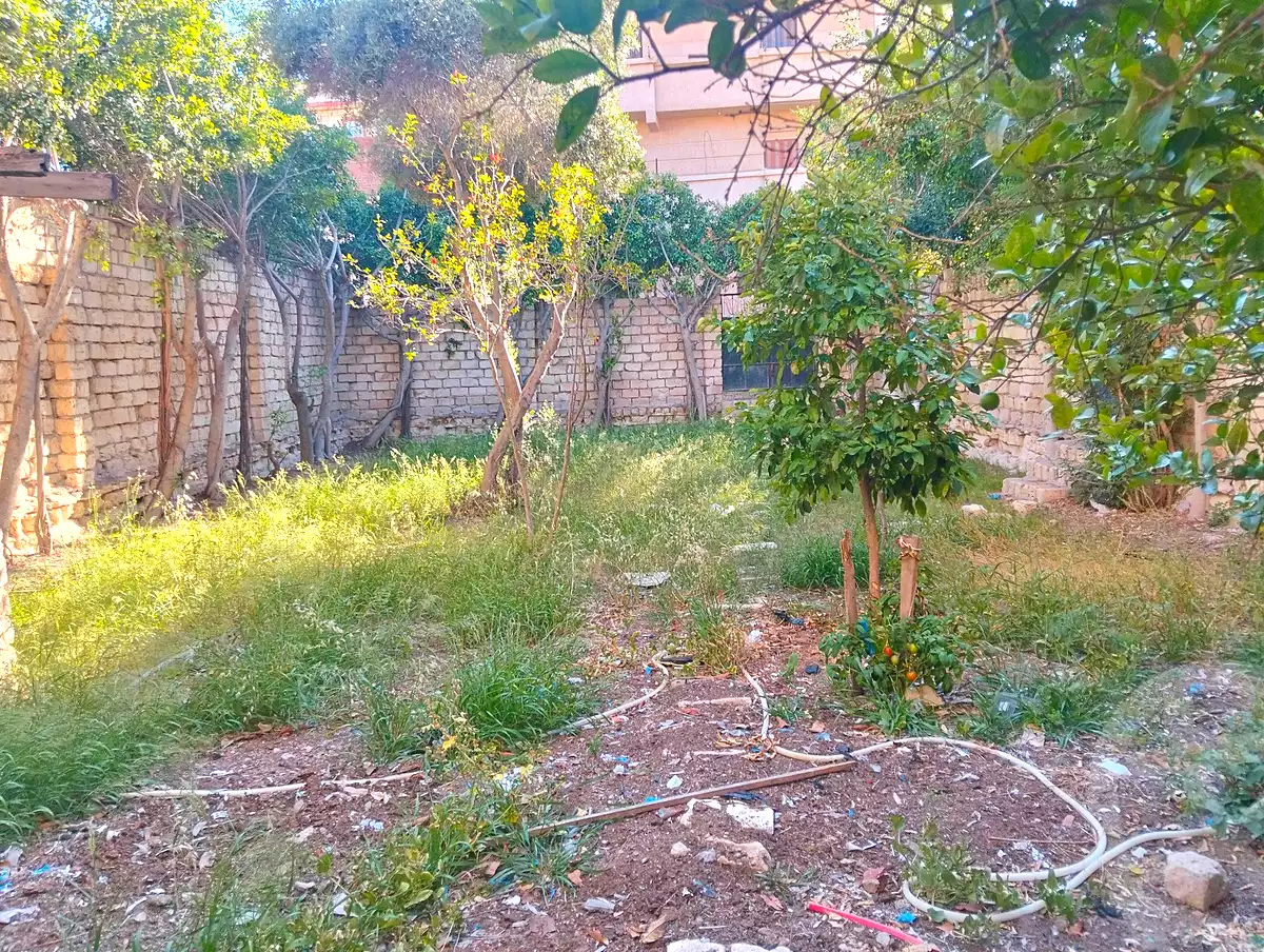 https://aqarmap.com.eg/ar/listing/6966357-for-sale-alexandria-al-agamy-bw-ywsf