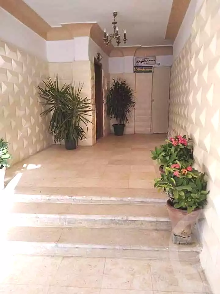 https://aqarmap.com.eg/en/listing/6969976-for-sale-cairo-dokki-mohey-el-din-abo-el-ezz