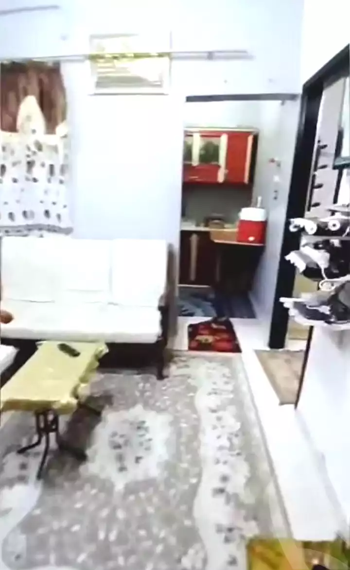 https://aqarmap.com.eg/en/listing/6976386-for-sale-cairo-el-haram-shareaa-khatem-el-morsalen