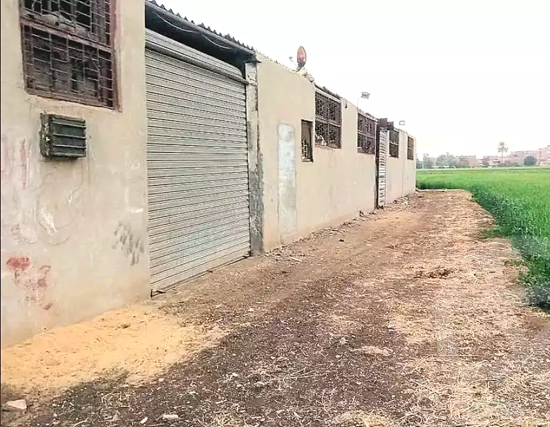 https://aqarmap.com.eg/ar/listing/6976954-for-rent-gharbia-tanta-tanta-city