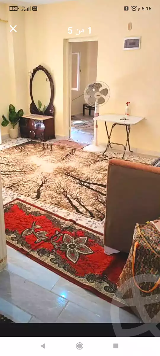 https://aqarmap.com.eg/en/listing/6979738-for-sale-alexandria-al-agamy-faddah-st
