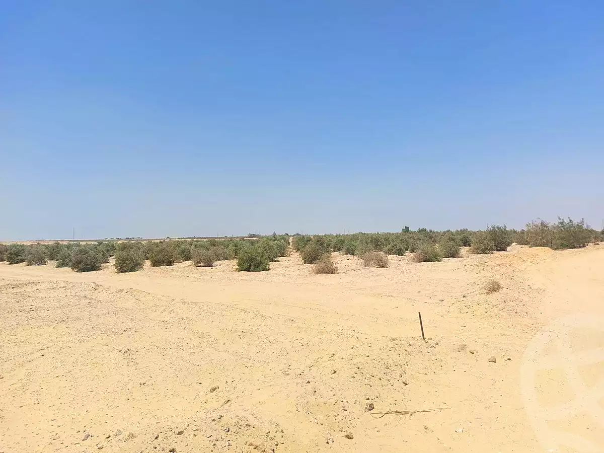 https://aqarmap.com.eg/en/listing/6982626-for-sale-beni-suef-el-wasta-medom