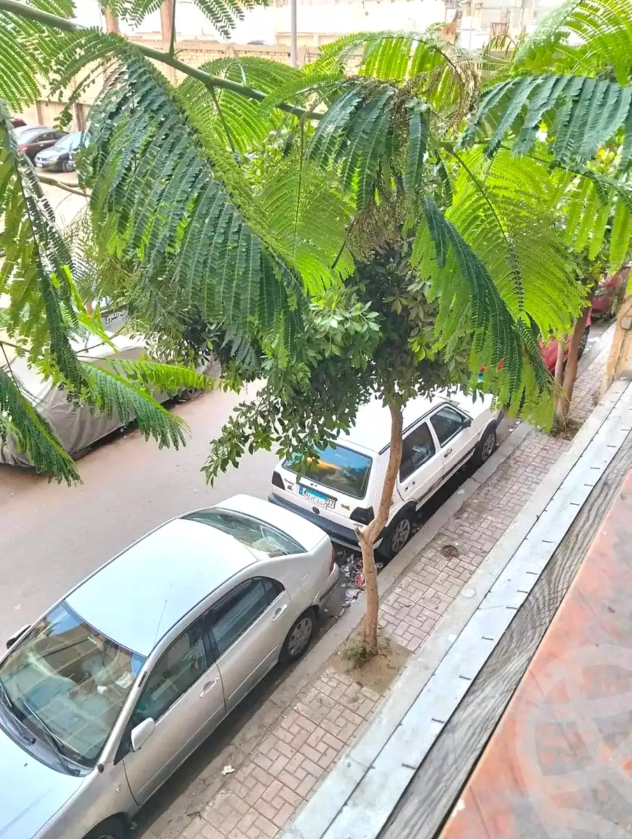 https://aqarmap.com.eg/en/listing/6928941-for-sale-alexandria-lsywf