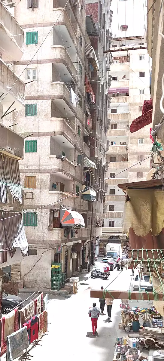 https://aqarmap.com.eg/ar/listing/6986102-for-sale-alexandria-el-asafra-salman-el-farsi-st