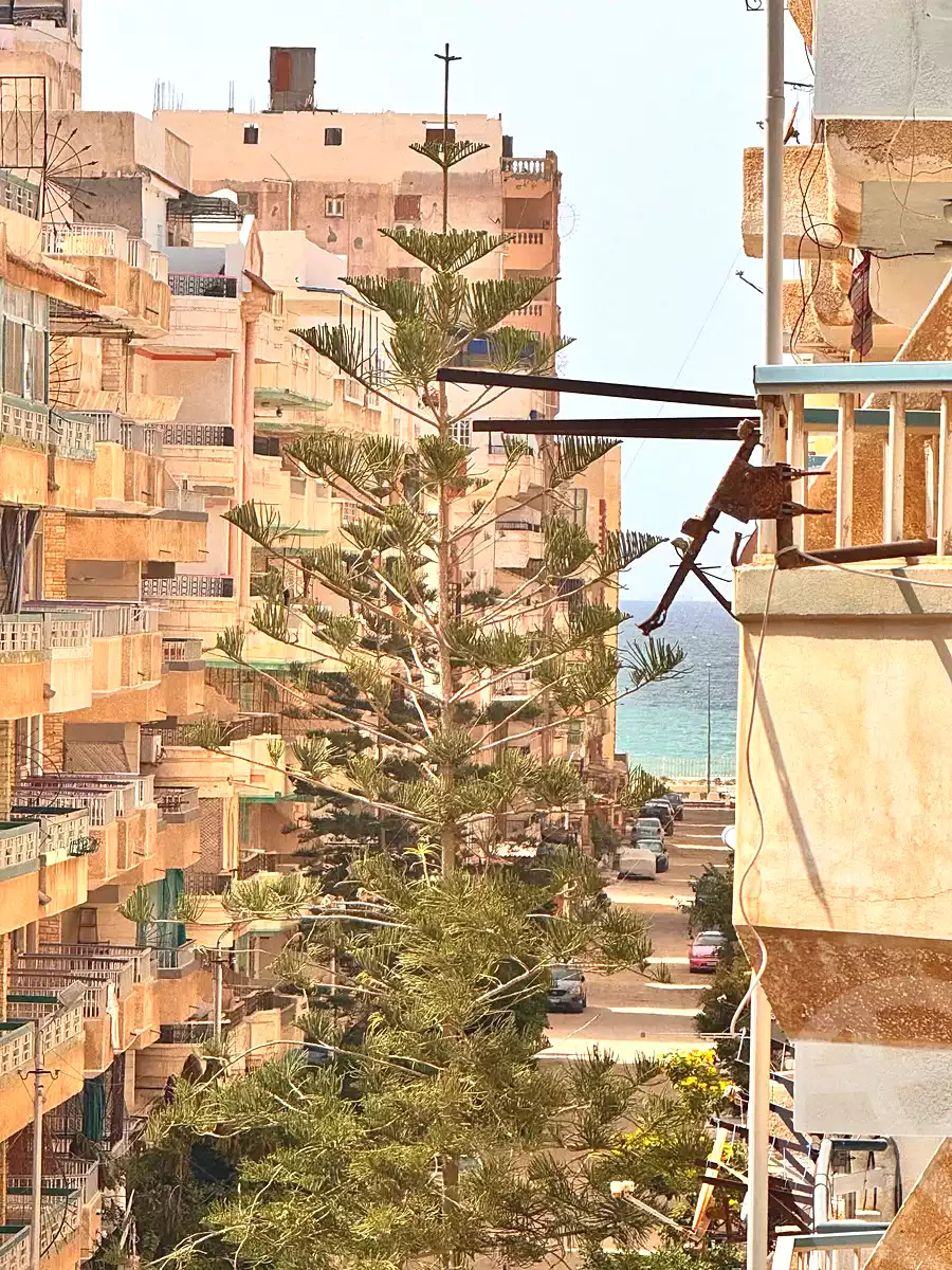 https://aqarmap.com.eg/ar/listing/6988246-for-sale-alexandria-al-agamy-shataa-el-nakheel-street-67