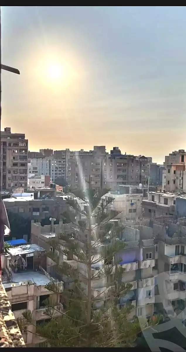 https://aqarmap.com.eg/ar/listing/6993774-for-sale-alexandria-al-agamy-lbytsh-al-aeda-al-kadema-st
