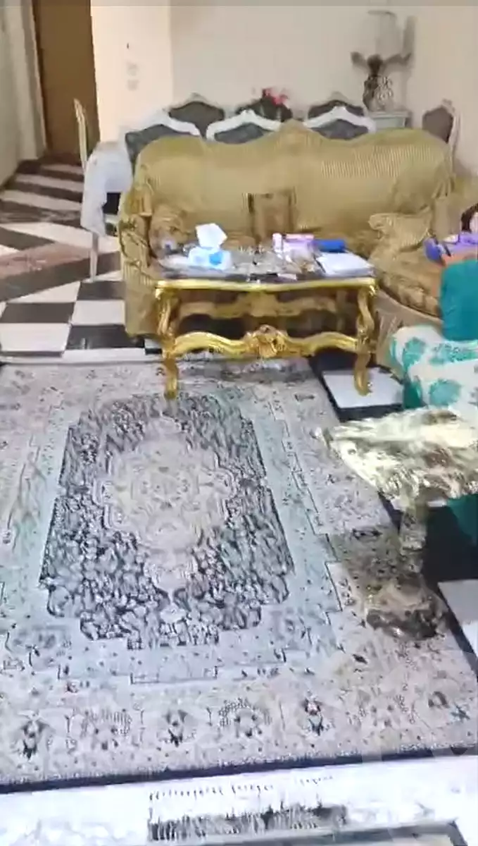 https://aqarmap.com.eg/en/listing/6996119-for-sale-cairo-el-haram-el-talbya-ezz-el-deen-omar-st