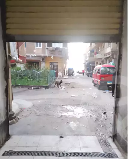 https://aqarmap.com.eg/ar/listing/6997203-for-sale-alexandria-bahray-el-anfoshy-al-gomrok-al-kadem-st