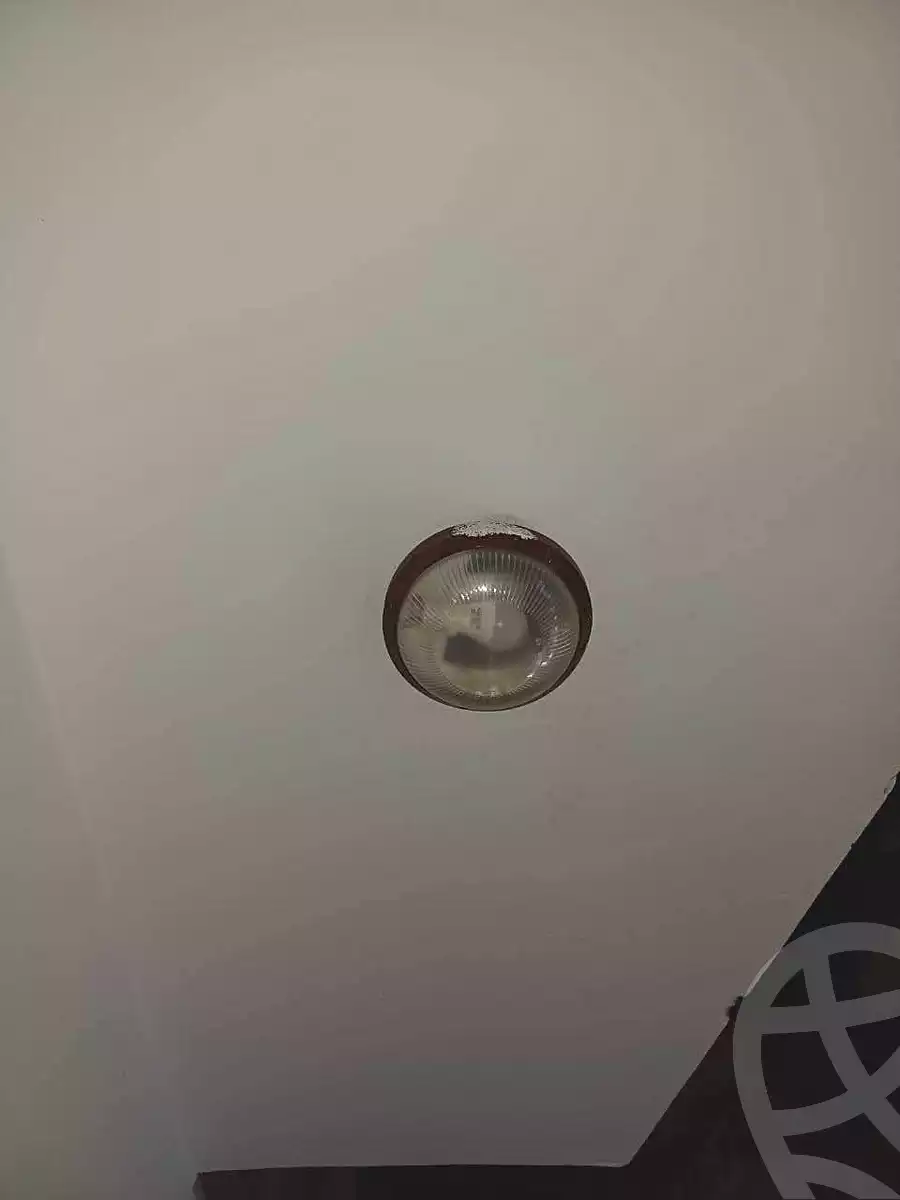 https://aqarmap.com.eg/en/listing/6998057-for-rent-alexandria-el-asafra-shr-jml-bd-lnsr